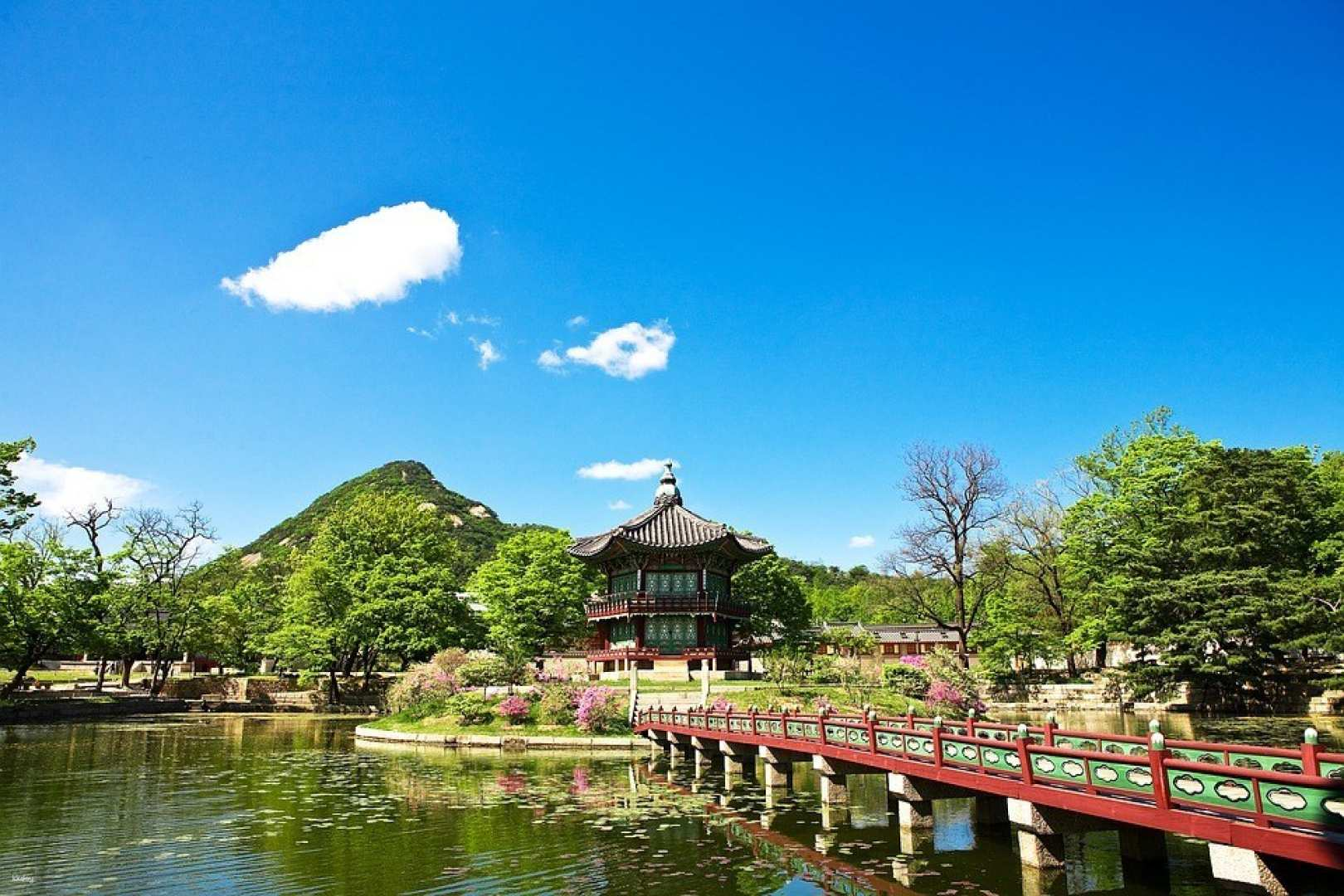 Seoul | One-day tour of Korea's power spots: Gyeongbokgung Palace + Blue House + Jongmyo Shrine + Wondan Hill | Japanese guide and lunch included - Photo 1 of 15